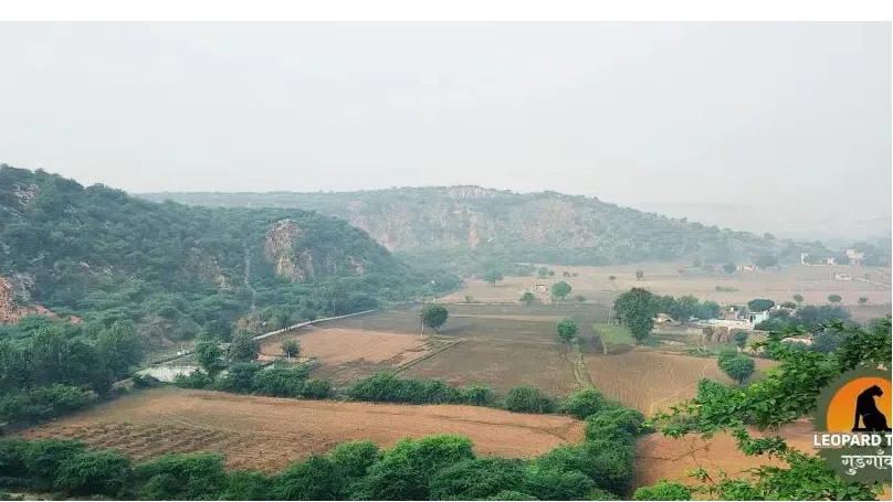 Leopard Hills